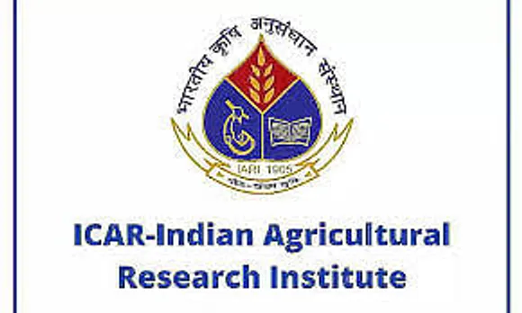 Jobs in Delhi: IARI Recruitment 2024 - Senior Research Fellow Vacancy